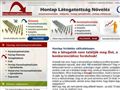 http://honlap-keresooptimalizalas.com/ ismertető oldala